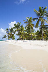 Petit Bateau, Tobago Cays, Die Grenadinen, St. Vincent und die Grenadinen, Westindische Inseln, Karibik, Mittelamerika - RHPLF09503