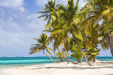 Petit Bateau, Tobago Cays, The Grenadines, St. Vincent and The Grenadines, West Indies, Caribbean, Central America - RHPLF09504