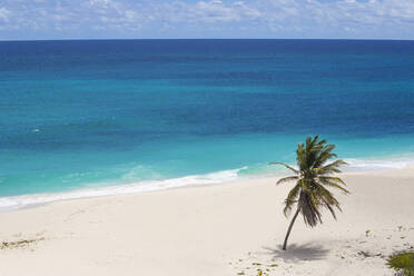 Foul Bay, Barbados, West Indies, Caribbean, Central America - RHPLF09511