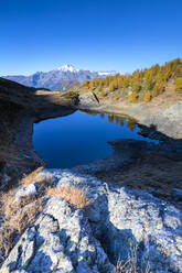 Die Seen von Campagneda umgeben von bunten Wäldern im Herbst, Valmalenco, Valtellina, Provinz Sondrio, Lombardei, Italien, Europa - RHPLF09547