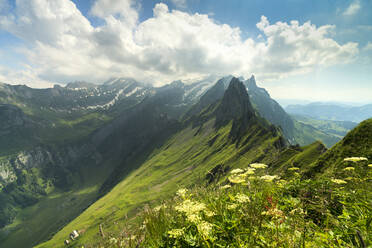 Peak Santis vom Schafler aus gesehen im Sommer, Appenzell Innerrhoden, Schweiz, Europa - RHPLF09566