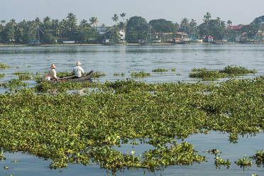 Fischer, Fort Kochi (Cochin), Kerala, Indien, Asien - RHPLF09599