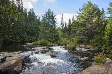 Wasserfälle im Algonquin Provincial Park, Ontario, Kanada, Nordamerika - RHPLF09629