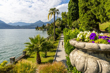 Blick auf den See vom Botanischen Garten im Dorf Vezio, Provinz Como, Comer See, Lombardei, Italienische Seen, Italien, Europa - RHPLF09664