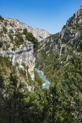 Verdon-Schlucht (Grand Canyon du Verdon), Alpes de Haute Provence, Südfrankreich, Europa - RHPLF09686