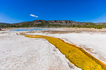 West Thumb Geysir Basin im Yellowstone National Park, UNESCO Weltkulturerbe, Wyoming, Vereinigte Staaten von Amerika, Nordamerika - RHPLF09704