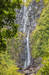 Landschaftlicher Blick auf die Wairere Falls im Wald auf der Nordinsel Neuseelands - FOF10881