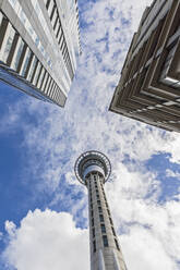 Niedriger Blickwinkel auf den Sky Tower bei bewölktem Himmel in Auckland, Neuseeland - FOF10894