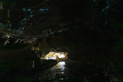 Tiefblick auf die beleuchtete Arachnocampa luminosa in der Höhle von Waipu, Ozeanien, Neuseeland - FOF10932