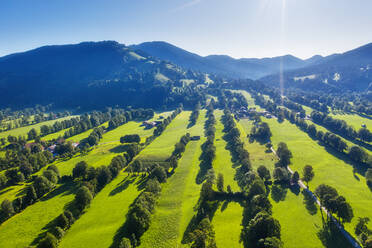 Nature reserve hedgerow landscape Gaissach, Lenggries, Isarwinkel, Upper Bavaria, Bavaria, Germany - SIEF09021