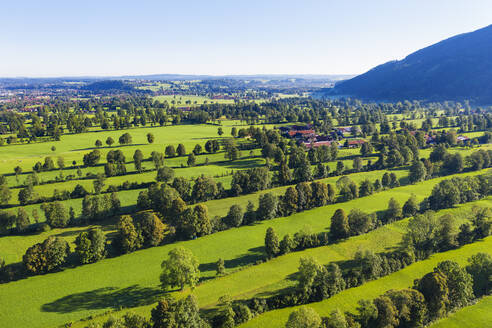 Blick auf das Naturdenkmal Heckenlandschaft gegen den Himmel bei Gaissach, Lenggries, Isarwinkel, Oberbayern, Bayern, Deutschland - SIEF09026