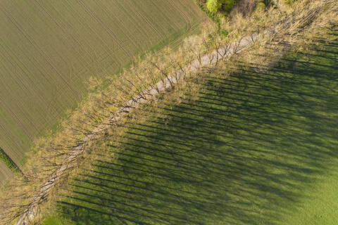 Luftaufnahme von Bäumen mit Schatten auf einer Wiese in Icking, Deutschland, lizenzfreies Stockfoto
