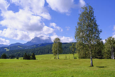 Landschaftliche Ansicht von Buckelwiesen gegen den Himmel bei Mittenwald, Werdenfelser Land, Oberbayern, Bayern, Deutschland - SIEF09028