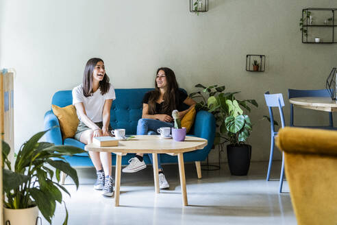 Zwei glückliche junge Freundinnen sitzen auf einer Couch in einem Café - GIOF07067