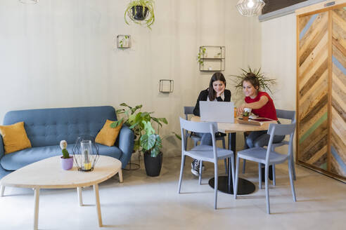 Zwei junge Frauen benutzen einen Laptop in einem Cafe - GIOF07115