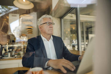 Älterer Geschäftsmann benutzt Laptop in einem Café - GUSF02634