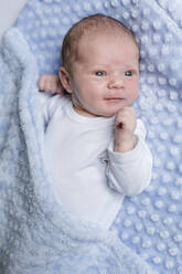 Porträt eines neugeborenen Jungen auf einer Decke liegend - STBF00369