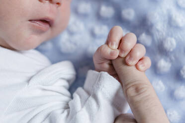 Neugeborenes Baby hält Finger - STBF00370