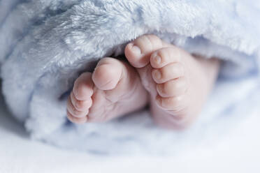 Nahaufnahme der Füße eines neugeborenen Babys - STBF00372
