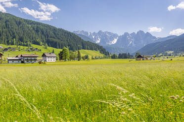 Blick auf die Landschaft von Gosau, Oberösterreichische Alpenregion, Salzburg, Österreich, Europa - RHPLF09782