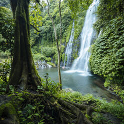 Banyumala Twin Waterfalls, Wanagiri, Buleleng, Bali, Indonesien, Südostasien, Asien - RHPLF09798