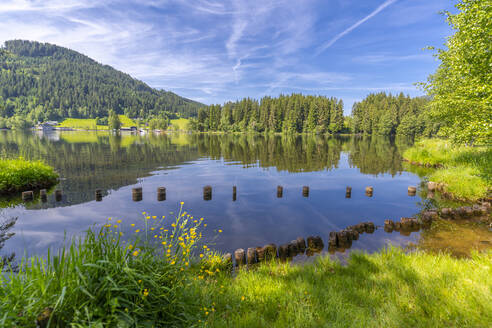 Blick auf Spiegelungen im Schwarzsee, Kitzbühel, Österreichisches Tirol, Österreich, Europa - RHPLF09876