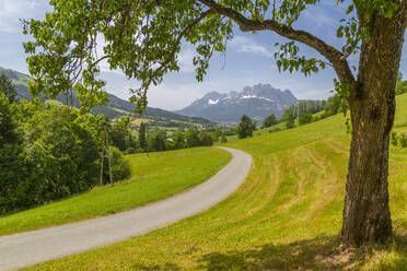 Blick auf einen Feldweg und den Gipfel der Ellmauer Halt bei St. Johann, Österreichische Alpen, Tirol, Österreich, Europa - RHPLF09893