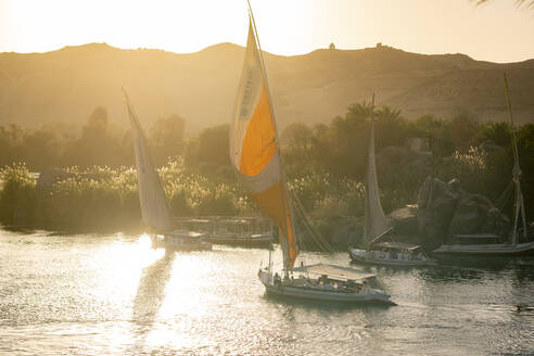 Traditionelle Felucca-Segelboote mit Holzmasten und Baumwollsegeln auf dem Nil, Assuan, Ägypten, Nordafrika, Afrika - RHPLF10021