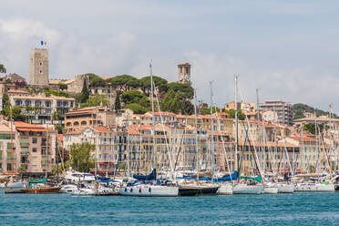 Hafen Le Vieux Port in Cannes, Alpes Maritimes, Côte d'Azur, Provence, Côte d'Azur, Frankreich, Mittelmeer, Europa - RHPLF10047