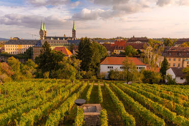 Weinfelder bei Altenburg, alte Festung in Bamberg, UNESCO-Welterbe, Bayern, Deutschland, Europa - RHPLF10058