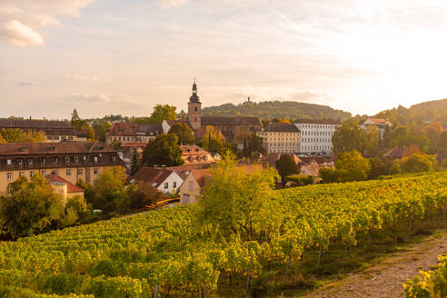 Weinfelder bei Altenburg, alte Festung in Bamberg, UNESCO-Welterbe, Bayern, Deutschland, Europa - RHPLF10059