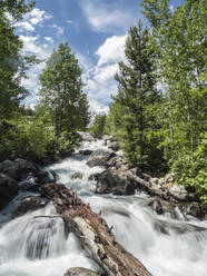Snow melt cascades leading to Taggart Lake, Grand Teton National Park, Wyoming, United States of America, North America - RHPLF10124