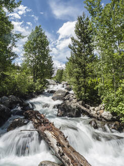 Schneeschmelzkaskaden, die zum Taggart Lake führen, Grand Teton National Park, Wyoming, Vereinigte Staaten von Amerika, Nordamerika - RHPLF10124