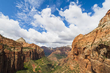 Aussichtspunkt am Canyon, Zion National Park, Utah, Vereinigte Staaten von Amerika, Nordamerika - RHPLF10176