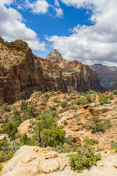 Aussichtspunkt am Canyon, Zion National Park, Utah, Vereinigte Staaten von Amerika, Nordamerika - RHPLF10179