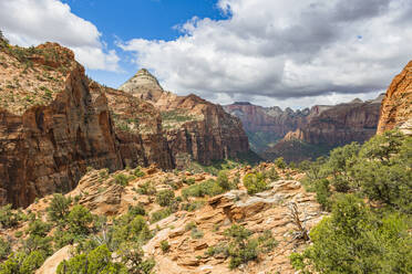 Canyon Overlook, Zion National Park, Utah, Vereinigte Staaten von Amerika, Nordamerika - RHPLF10181