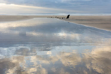 Low tide, sunset, Rhossilli Bay, Gower, South Wales, United Kingdom, Europe - RHPLF10207