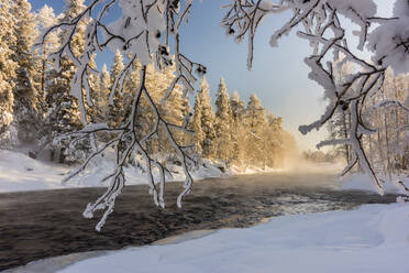 Fluss Kitka (Kitkajoki) im Winter, Kuusamo, Finnland, Europa - RHPLF10227