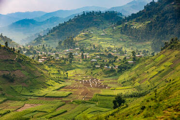 Fahrt am Bunyonyi-See in Uganda, Ostafrika, Afrika - RHPLF10231