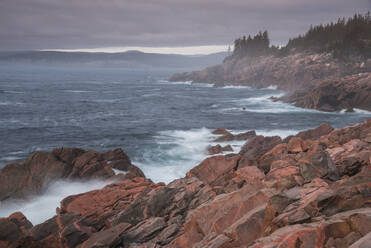 Wellen brechen an Felsen, Green Cove Look Off, Lackies Head, Cape Breton National Park, Nova Scotia, Kanada, Nordamerika - RHPLF10244