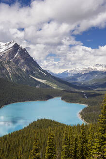 Peyto Lake, Banff National Park, UNESCO-Weltkulturerbe, Alberta, Kanada, Nordamerika - RHPLF10250