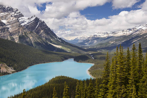 Peyto Lake, Banff National Park, UNESCO-Weltkulturerbe, Alberta, Kanada, Nordamerika - RHPLF10251