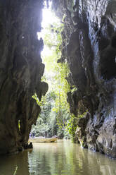 Cueva del Indio (Indianerhöhle), Vinales, UNESCO-Weltkulturerbe, Provinz Pinar del Rio, Kuba, Westindien, Mittelamerika - RHPLF10273