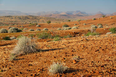Typischer roter Schotterboden, Etendeka, Namibia, Afrika - RHPLF10314