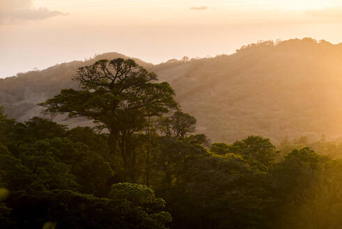 Monteverde Cloud Forest Reserve at sunset, Puntarenas, Costa Rica, Central America - RHPLF10341