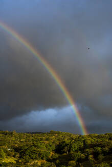 Rainbow over Monteverde Cloud Forest Reserve at sunset, Puntarenas, Costa Rica, Central America - RHPLF10344