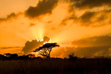 Sonnenuntergang, Zululand, Südafrika, Afrika - RHPLF10421