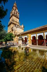 Glockenturm von La Mezquita (Große Moschee), UNESCO-Weltkulturerbe, Cordoba, Andalusien, Spanien, Europa - RHPLF10424