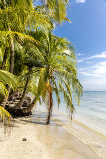 A view of the Caribbean sea off Bocas del Drago beach, Colon Island, Bocas del Toro Islands, Panama, Central America - RHPLF10473