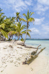The beautiful Island Pelicano in the San Blas Islands, Kuna Yala, Panama, Central America - RHPLF10489